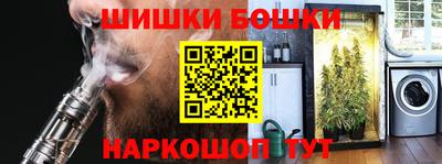 шишки Кандалакша
