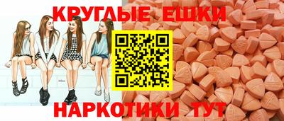 шишки Кандалакша