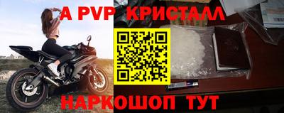 шишки Кандалакша