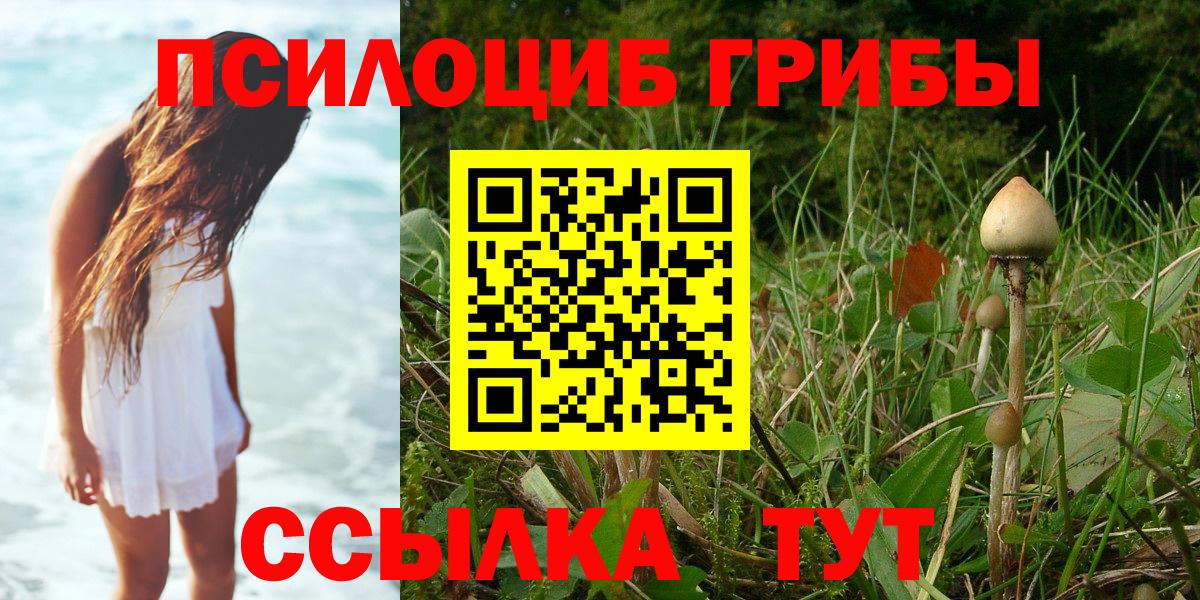 Псилоцибиновые грибы Psilocybine cubensis  Галлюциногенные грибы Cubensis  даркнет сайт  Волжский  Вход с VPN 