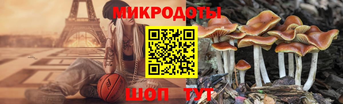 Псилоцибиновые грибы мицелий Волжский